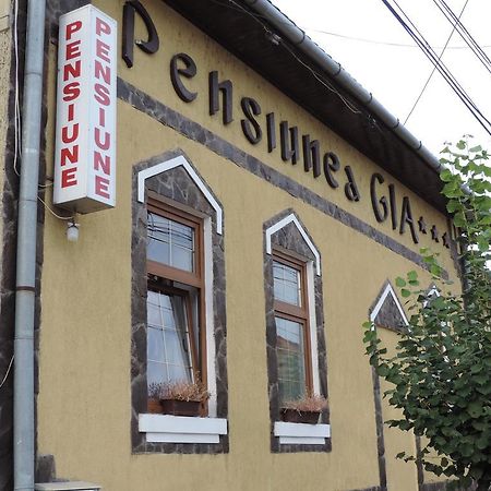 Pensiunea Gia Segesvár Kültér fotó