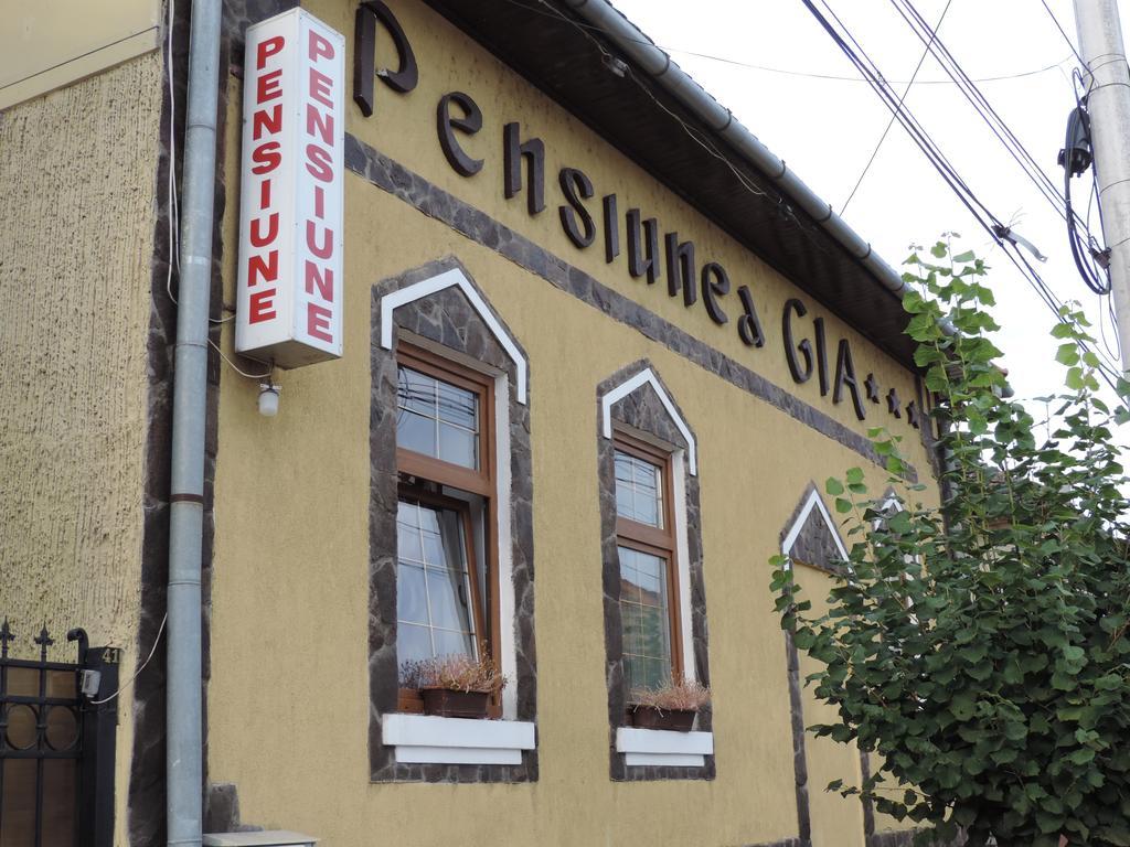 Pensiunea Gia Segesvár Kültér fotó